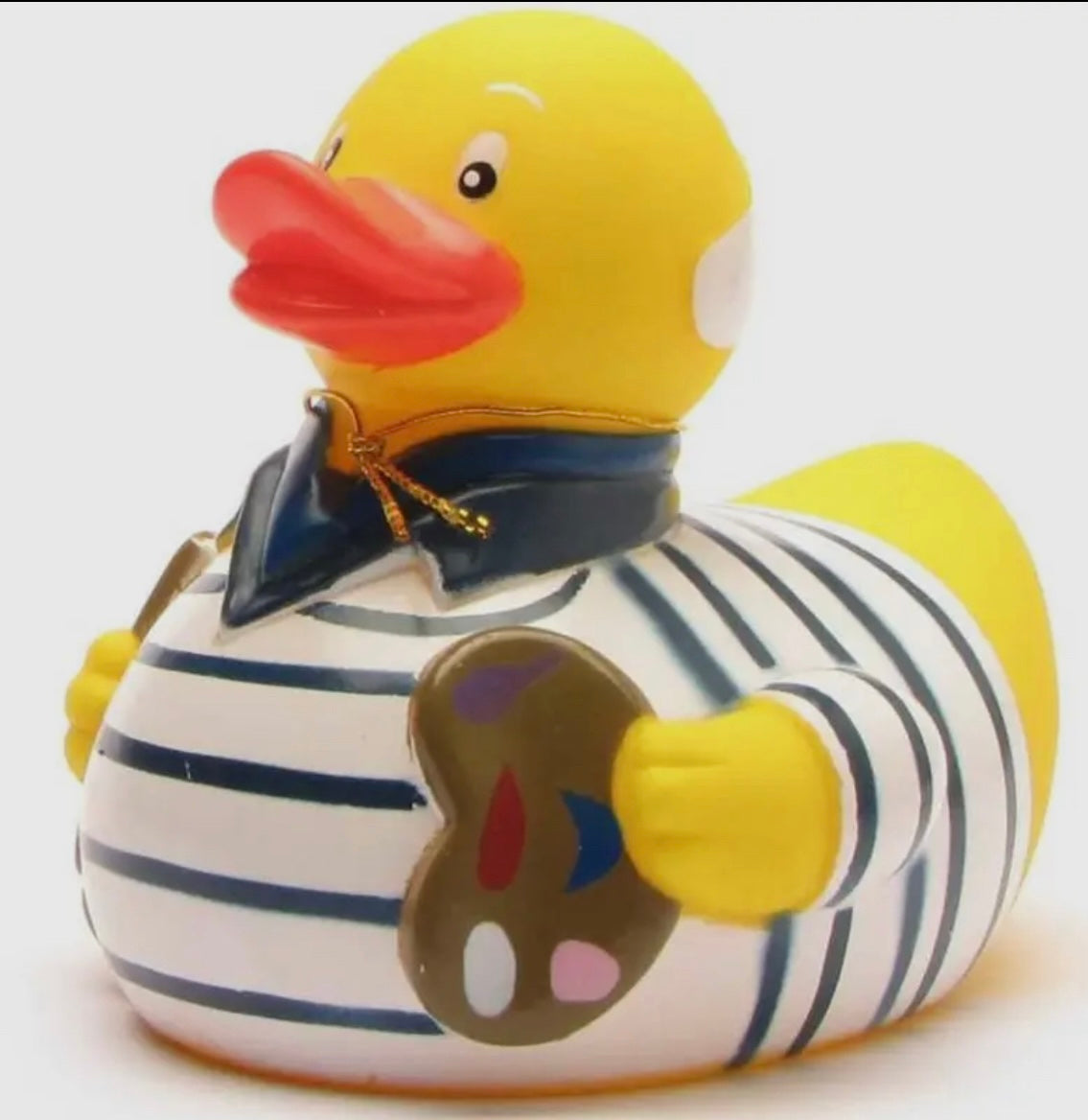 Canard PICASSO