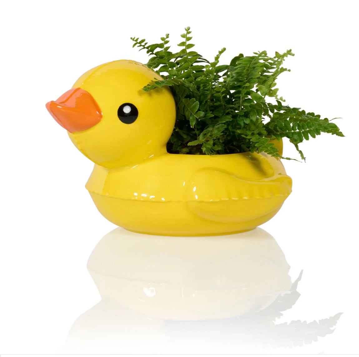 Cachet pot Canard