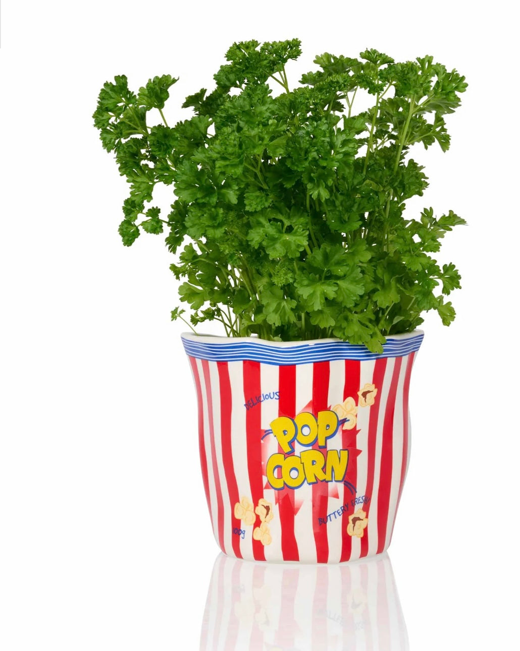 Cache-pot Popcorn