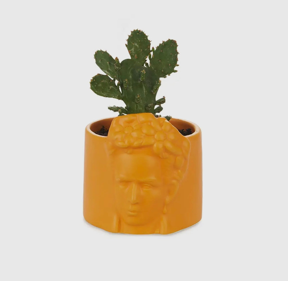 Mini pot de fleurs orange FRIDA