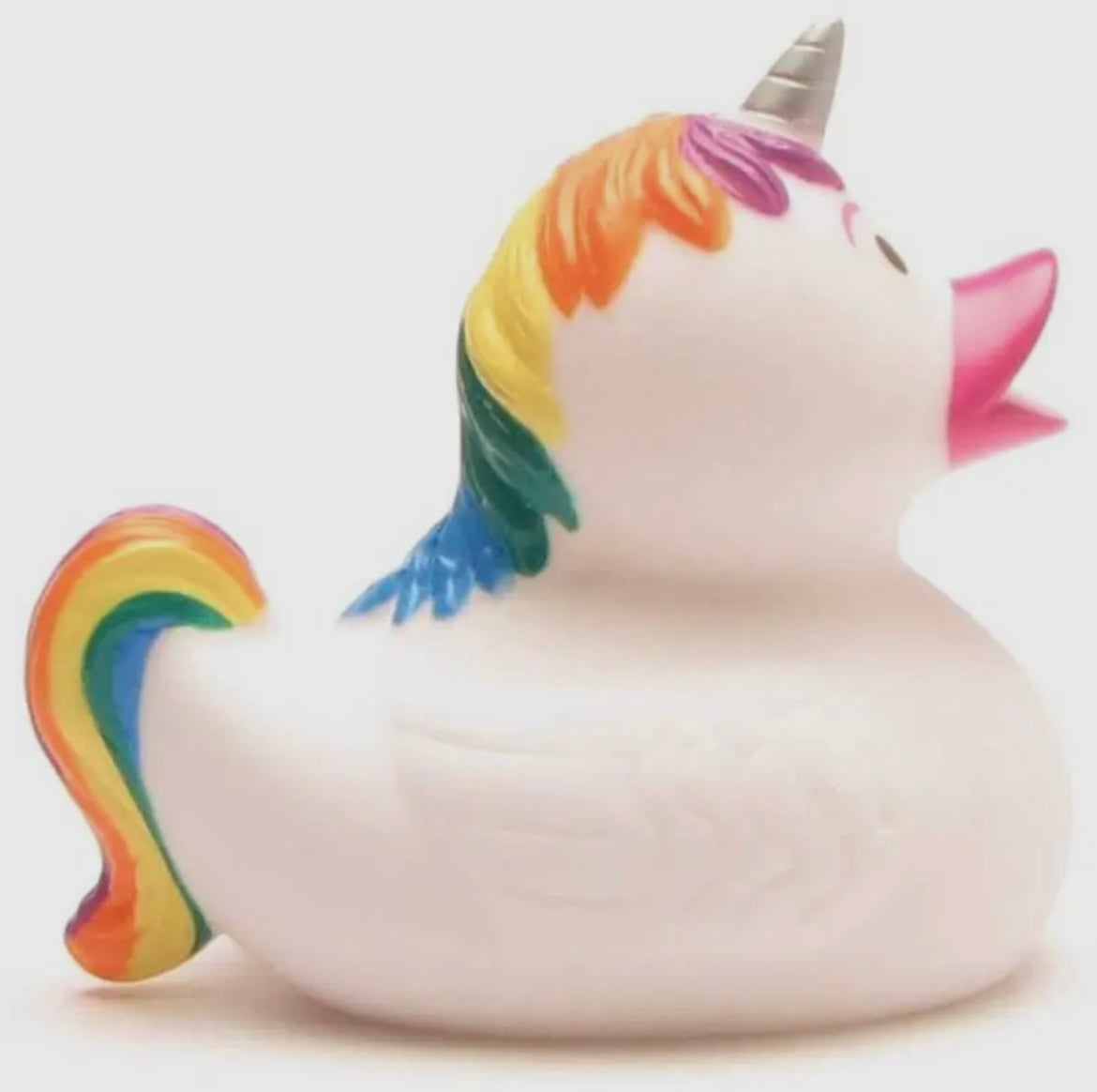 Canard Licorne raimbow