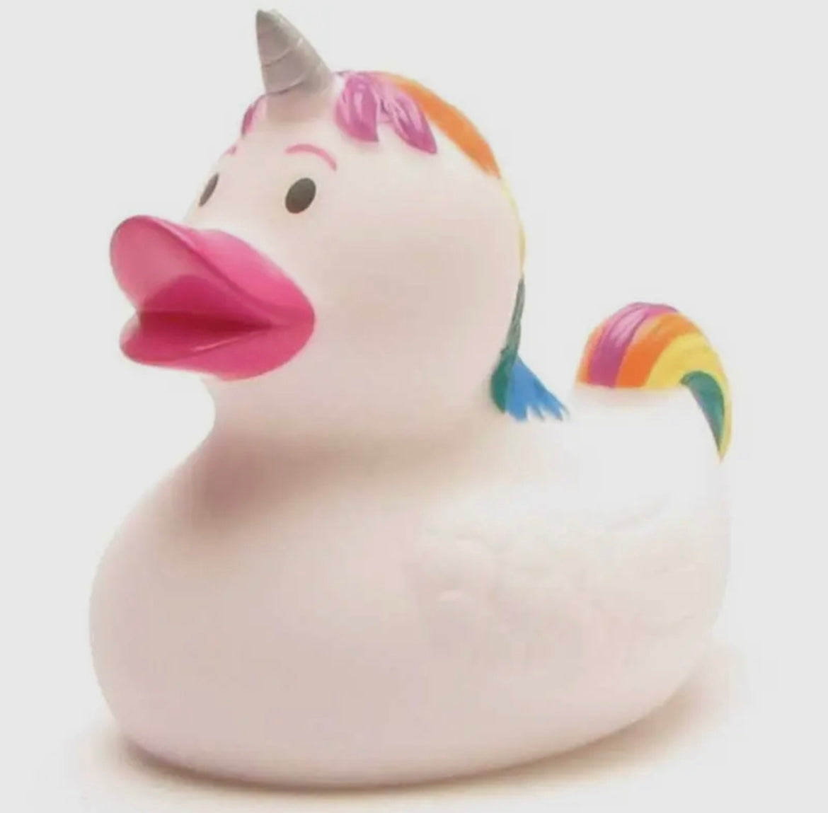 Canard Licorne raimbow