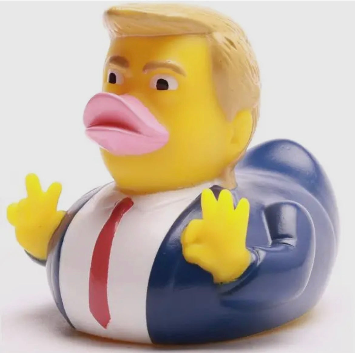 Canard Trump